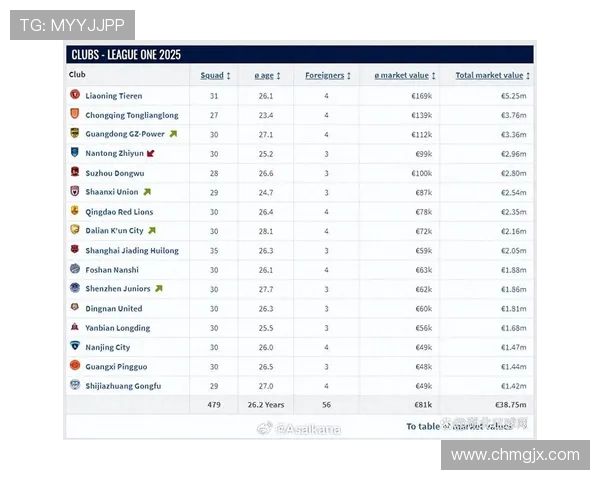 2025赛季中甲球队排名与2024赛季排名全面对比分析 2025赛季中甲球队排名与2024赛季排名全面对比分析