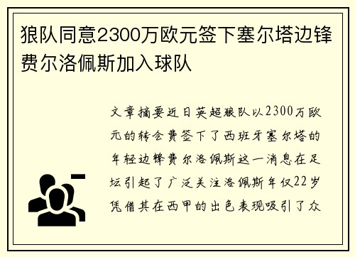 狼队同意2300万欧元签下塞尔塔边锋费尔洛佩斯加入球队